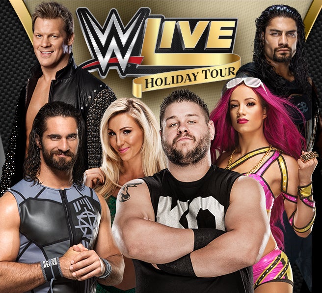 WWE LIVE Holyday Tour 2016 ElAntro